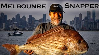 How to Catch BIG Snapper in Only 3m of Water Port Phillip Bay [upl. by Chin]