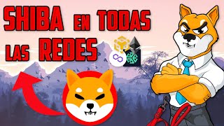 Cómo AGREGAR SHIBA INU SHIB a METAMASK en TODAS las REDES [upl. by Artapoelc]