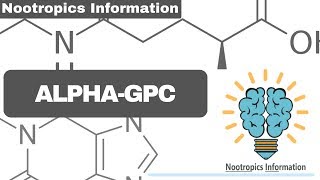 AlphaGPC  Nootropics Information [upl. by Odlavu285]