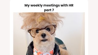 My weekly meetings with HR part 7 [upl. by Mitch]