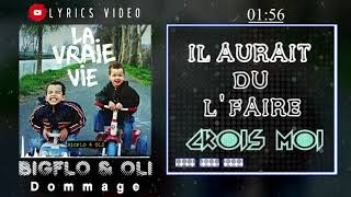 Bigflo et oli dommage Lyrics video [upl. by Vi]