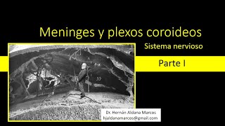 Meninges y plexos coroideos Parte I Hernán Aldana Marcos [upl. by Nais]