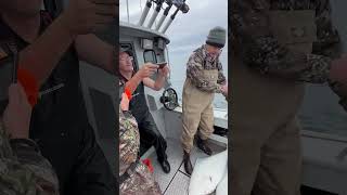 Halibut fishing Seward Alaska Epic day [upl. by Namra]