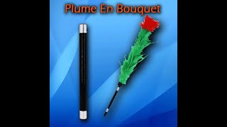 plume En bouquet  lepetitmagiciencom [upl. by Notnil607]