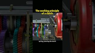 The working principle of a clutch knowledge shortvideo [upl. by Einahpets745]