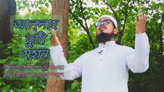 কলিজা ঠান্ডা হয়ে যাওয়া হাম দেবারি তায়ালা  Allah tomi moha  আল্লাহ তুমি মহান  Noton gojol 2024 [upl. by Novets]