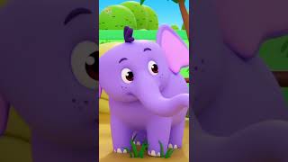 Zoo Song shorts nurseryrhymes kidssongs animalcartoon babysongs ytshorts [upl. by Arber]