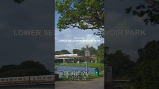 Lower Seletar Reservoir Park visitsingapore travel singapore park [upl. by Moon]