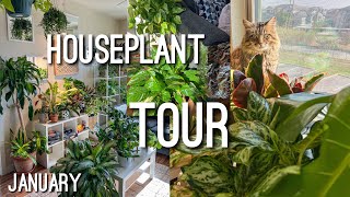 Houseplant Apartment Tour January 2024 [upl. by Onurb761]