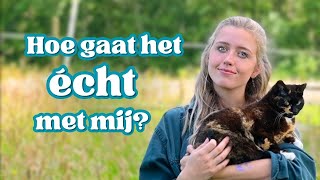 Leer mij beter kennen door deze QampA ❤️ [upl. by Yt]