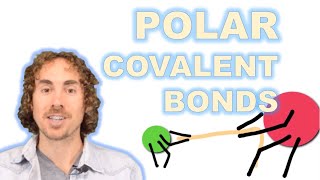 Polar Covalent Bonds [upl. by Faria]