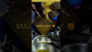 Never Eat Mad Honey Toxic amp Rare Buzz [upl. by Norah]