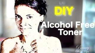 DIY Natural Alcohol Free Toner for Combination Oily amp Acne Prone Skin [upl. by Gleason908]