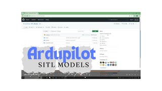 RealFlight Importing Ardupilot SITL Models Tutorial [upl. by Tarrant]