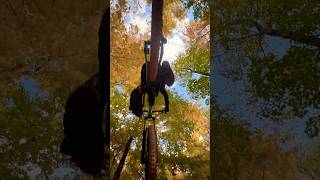 Trail Holy Driver at Boyne highlands bike park 🎥mtbsheenqueen [upl. by Erminna]