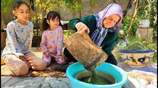 From farm to home traditional methods for drying and powdering fresh mint leaves🌿🌿 [upl. by Steffie]