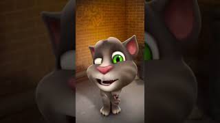 Talking Tom in Masti mood views shortvideo shorts shortvideo [upl. by Boot113]