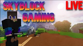 Hypixel Skyblock Nucleus Runs Playing with Viewers p join TJ444423 [upl. by Yared]