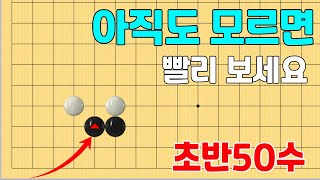 초반50수 강력한 호구 들어가기 쉽게 알아봅시다 [upl. by Bendicty]