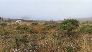 11 Sonoma Coast California September 5 2024 [upl. by Akieluz]