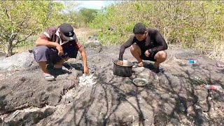 Pescamos y Cocinamos unas deliciosas tilapias junto a Alex El Campesino Alegre [upl. by Terrye]