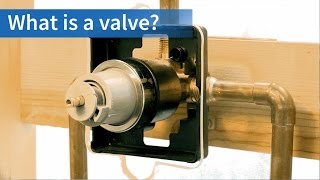 Shower Valves  What is a valve  eFaucetscom [upl. by Anavahs934]