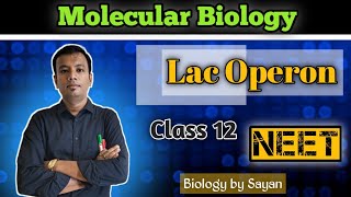 LacOperon Molecular Biology Class 12 NEET [upl. by Annaek]