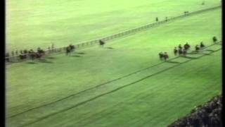 1976 Champion Stakes [upl. by Nerrej]