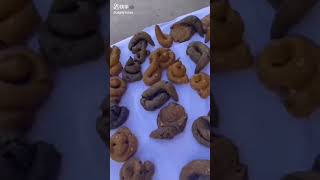 😂😂FoodLover Comedy 😂😂😂reels funny nice foodlover funnyvideo fun parbhacollection [upl. by Payne]