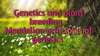 Genetics and plant breeding Mendelian principles of genetics [upl. by Burrow]