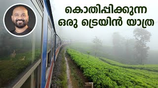 കൊതിപ്പിക്കുന്ന ഒരു ട്രെയിൻ യാത്ര  The Magical Train Journey in Sri Lanka  Rain amp Fog Adventure [upl. by Armando360]