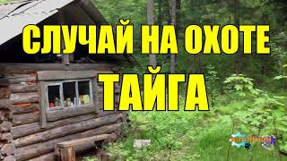 СЛУЧАЙ НА ОХОТЕ  РАССКАЗ ОХОТНИКА  ТАЙГА [upl. by Amsirhc]