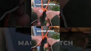 Taut Line Hitch vs Magnus Hitch  Which one is more effective  knotshort [upl. by Lukey]