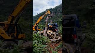 Crane Lifts Injured Giant Pythons onto Trucktruck python anime wildlife [upl. by Dana]