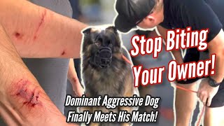 Aggressive amp Dominant GSD Attacks Trainer AND FINALLY MEETS HIS MATCH [upl. by Raddi570]