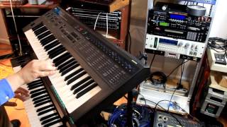 DW8000 DX7 and LinnDrum ditty [upl. by Htenywg873]