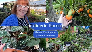 JARDINERIE BARATET 🌿Un petit tour en extérieur et en intérieur  De belles plantes  Des agrumes🍋🍊 [upl. by Colpin]