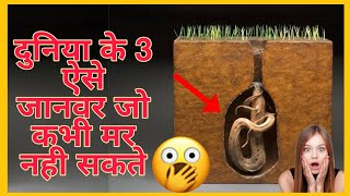 🤯 ये 3 जानवर अमर है 😱 कभी मर नही सकते😳 immortal animals on earth shorts [upl. by Yenffit]