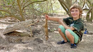 Invasive Mongoose Catch and Cook Using Primitive Deadfall Method [upl. by Arias]