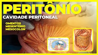 PERITÔNIO cavidade peritoneal omento mesentério e mesocolon [upl. by Esta]