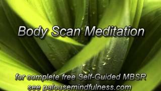 MBSR Body Scan Meditation 2013 version [upl. by Knitter]