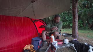 Tent Camping In RAIN  Dog [upl. by Ulane]