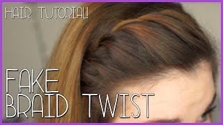 FAKE BRAID TWIST Tutorial [upl. by Lita478]