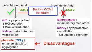 NSAIDs Ibuprofen and selective COX2 inhibitors Celecoxib [upl. by Zephan861]