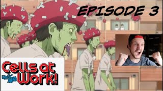 Medical Student Reacts To Cells At Work Episode 3 Influenza  Hataraku Saibou [upl. by Romelda]