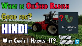 how to harvest oilseed radish in farming simulator 22 Hindi guide [upl. by Duff338]