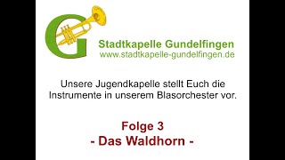 Das Waldhorn  Instrumentenvorstellung Folge 3 [upl. by Anihsak739]