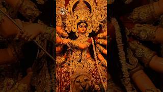 Dharti pe paw jaise dhaili mayariya pawan singh durga puja bhakti durga maa ytshorts song [upl. by Nalda]