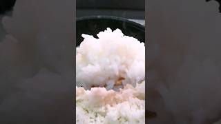 how to cook Calrose  Egyptian rice  rice Shorts [upl. by Noirda]