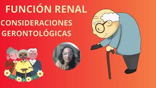 Anatomía y fisiología renal 2 de 2 [upl. by Bondie]